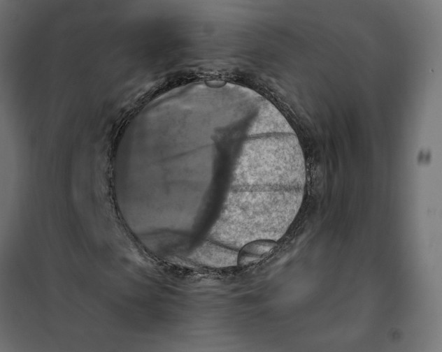 X0000101410913200807281022