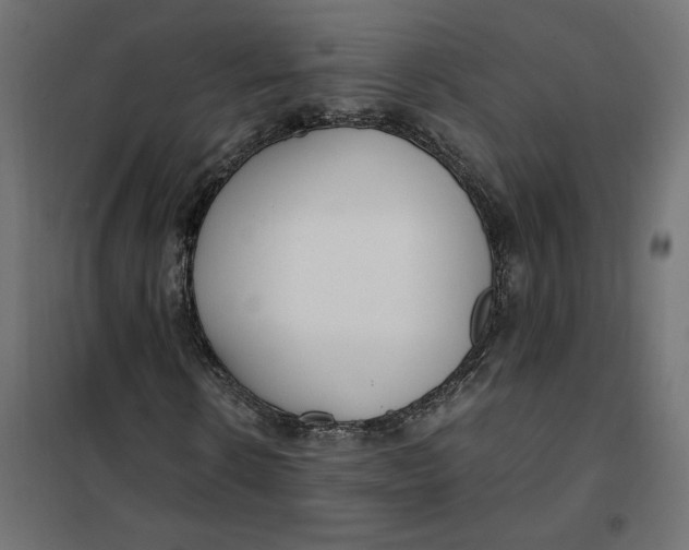 X0000101410914200807281022