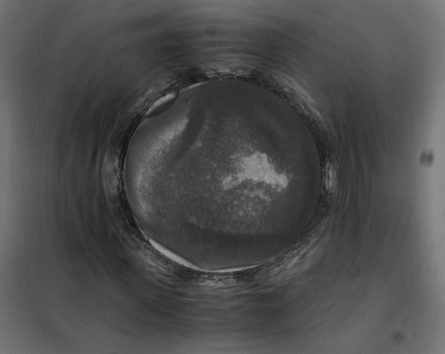 X0000101410915200807281022