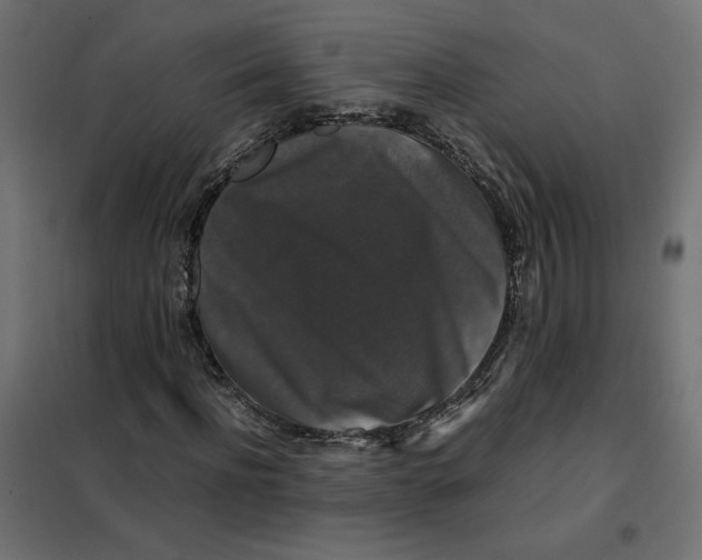 X0000101410916200807281022