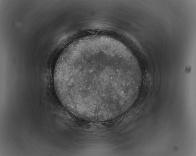 X0000101410918200807281022