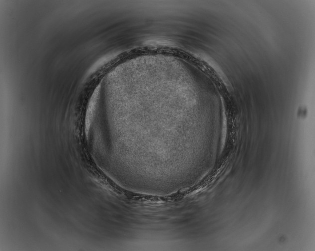 X0000101410919200807281022