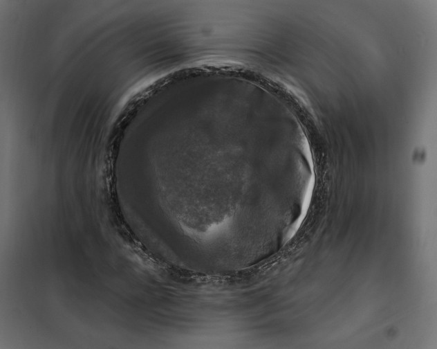 X0000101410920200807281022