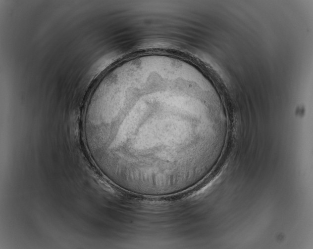 X0000101410921200807281022