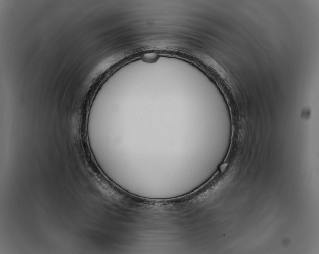 X0000101410922200807281022