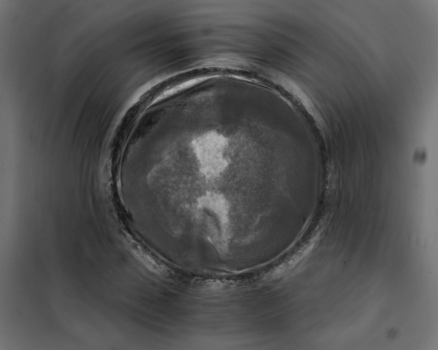 X0000101410923200807281022