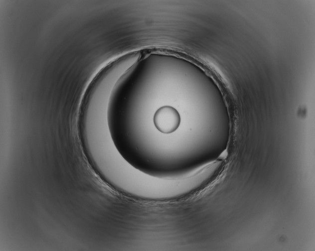 X0000101410924200807281022