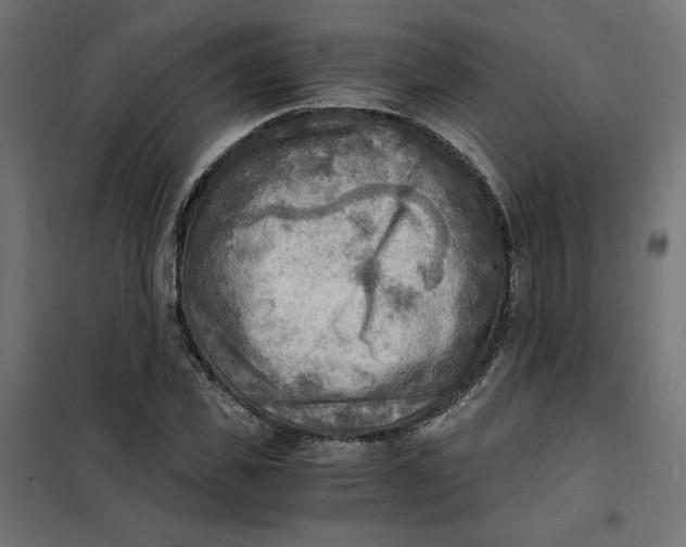 X0000101410925200807281022