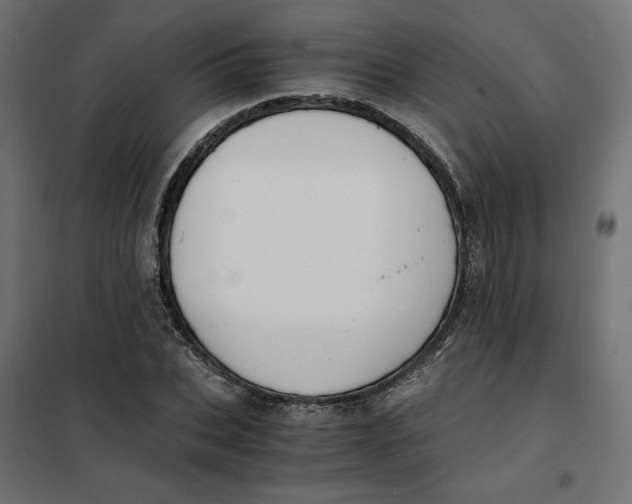 X0000101410927200807281022