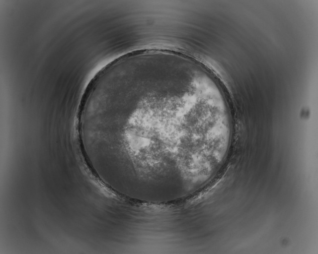 X0000101410928200807281022