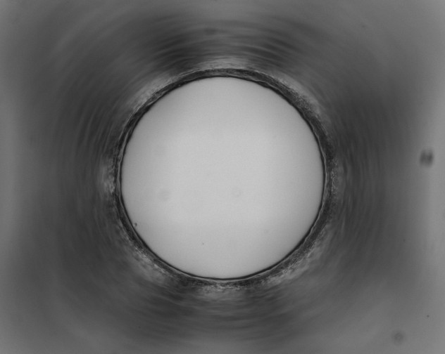 X0000101410929200807281022