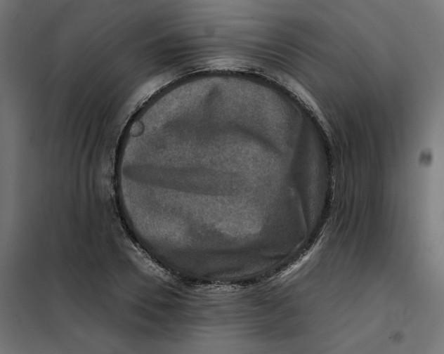 X0000101410930200807281022