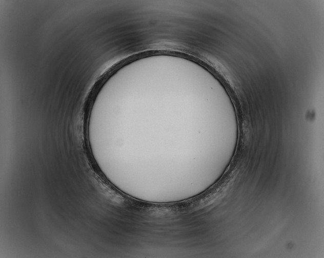 X0000101410931200807281022