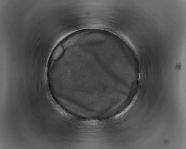 X0000101410932200807281022