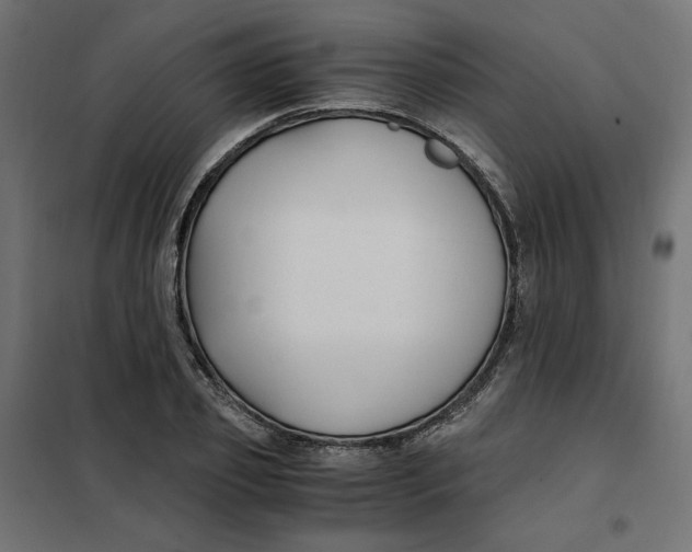 X0000101410933200807281022