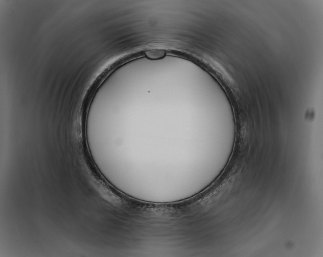 X0000101410934200807281022