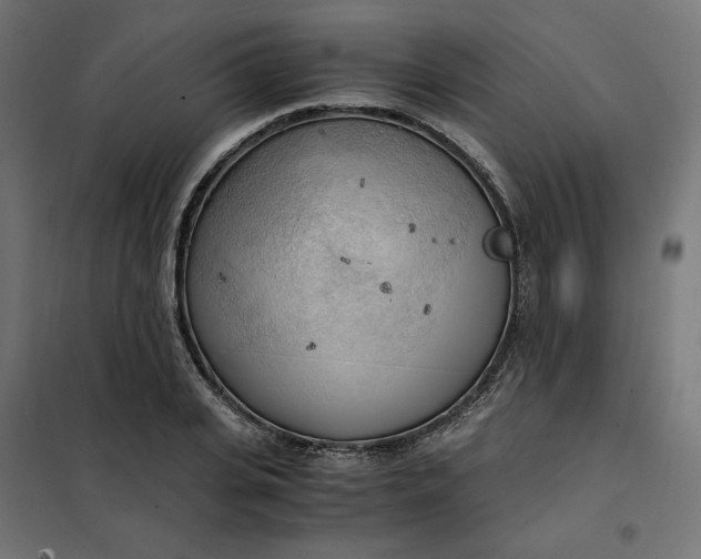 X0000101410935200807281022