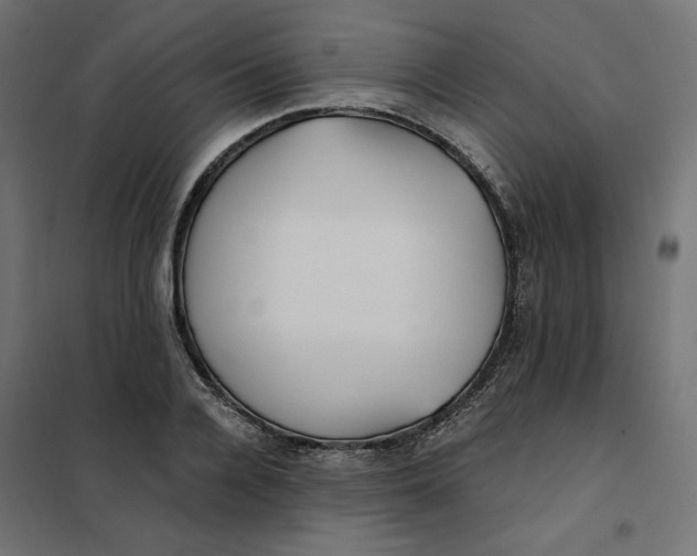 X0000101410936200807281022