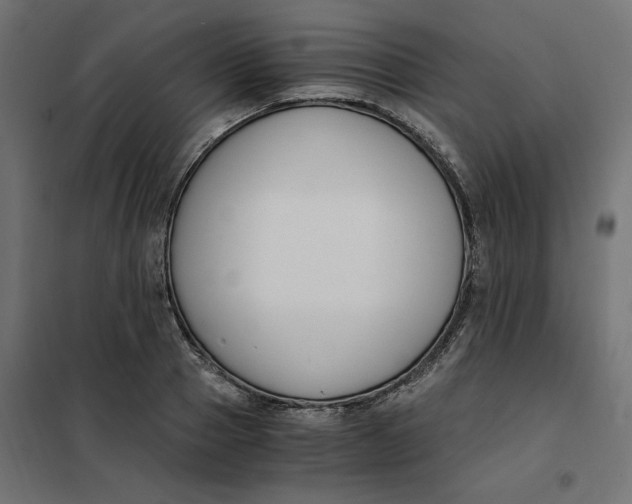 X0000101410937200807281022