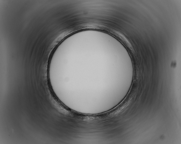 X0000101410938200807281022