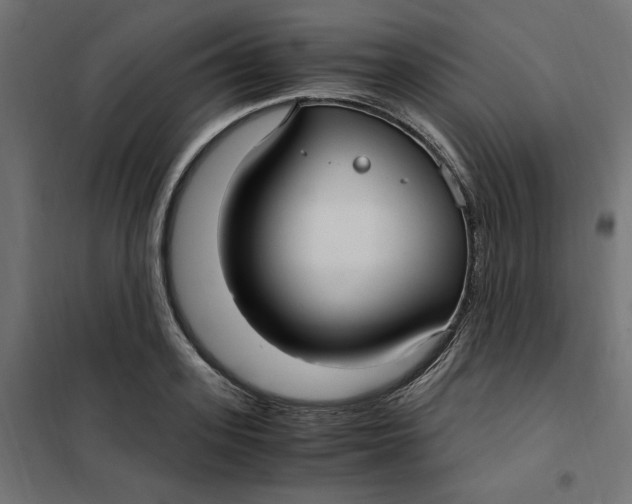 X0000101410939200807281022