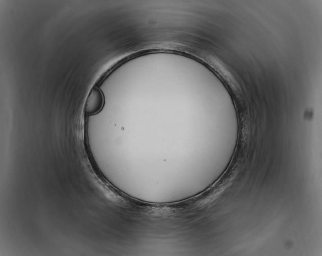 X0000101410940200807281022