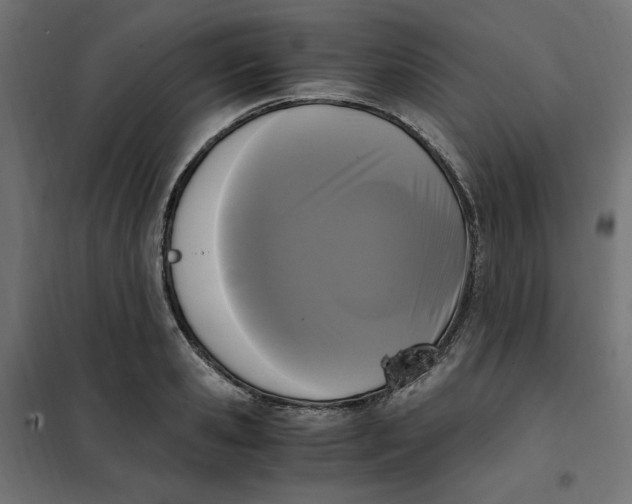 X0000101410941200807281022