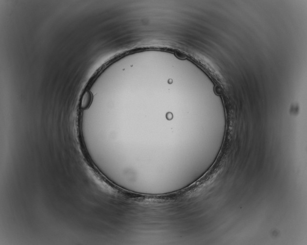 X0000101410942200807281022