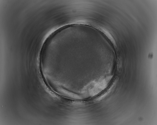 X0000101410944200807281022