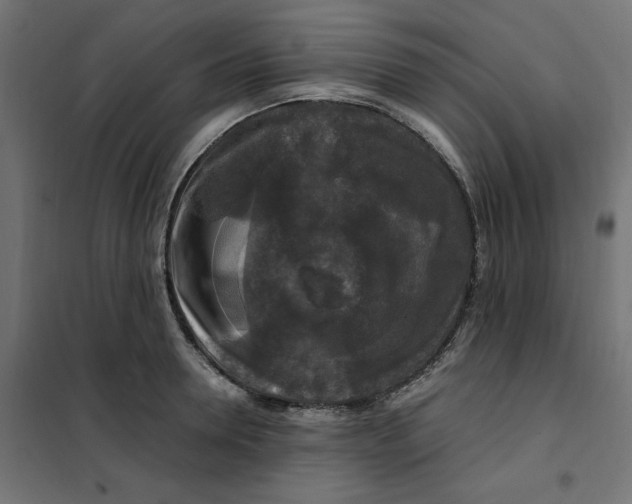 X0000101410946200807281022