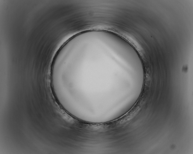 X0000101410948200807281022