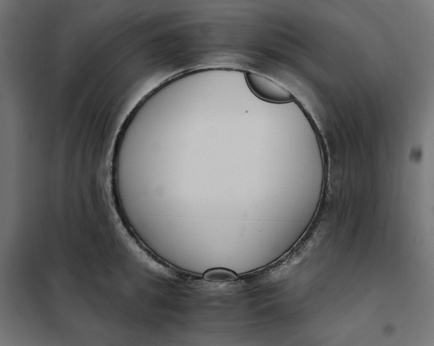 X0000101410949200807281022