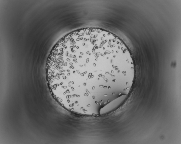 X0000101410950200807281022