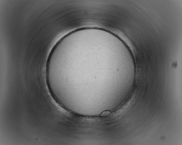 X0000101410951200807281022