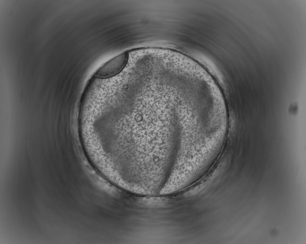 X0000101410952200807281022