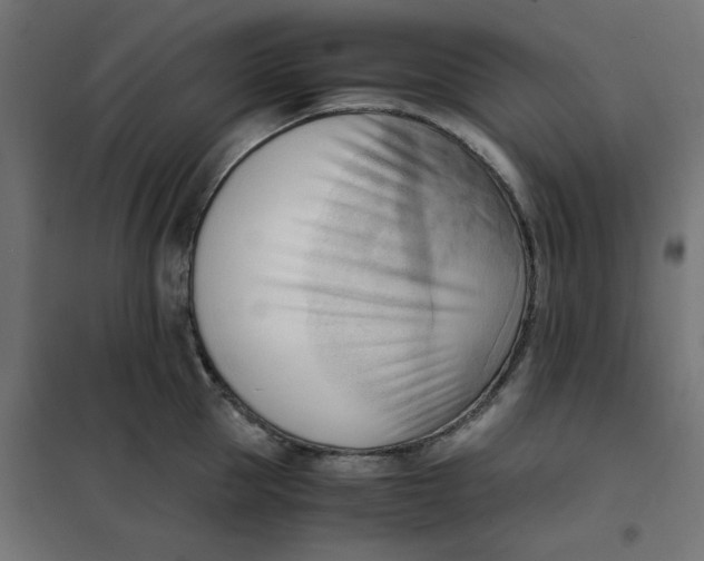 X0000101410953200807281022