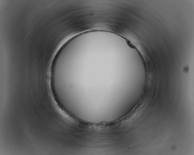 X0000101410955200807281022