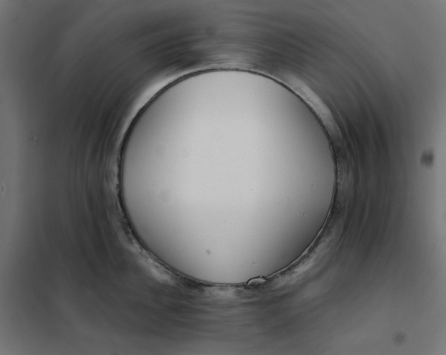 X0000101410956200807281022