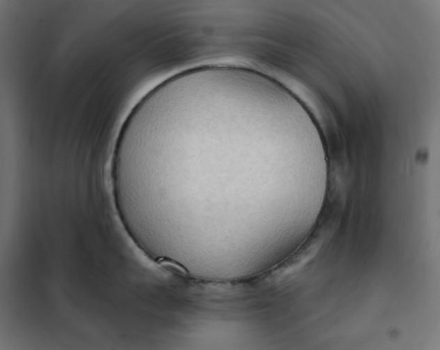 X0000101410959200807281022