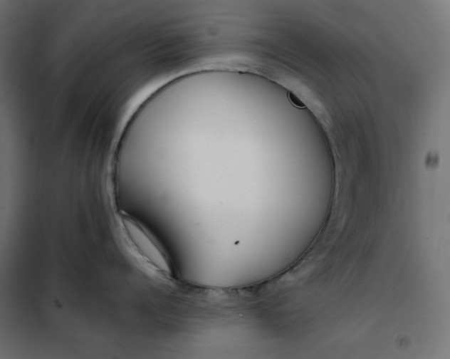 X0000101410960200807281022