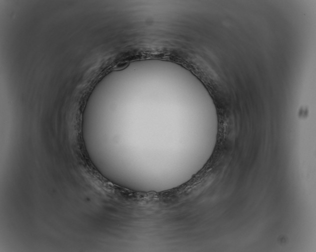 X0000101410961200807281022