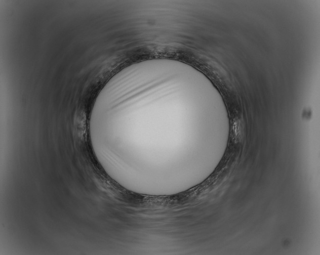 X0000101410963200807281022