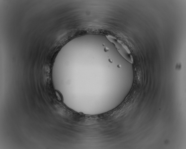 X0000101410964200807281022