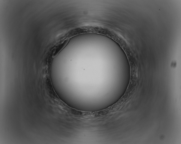 X0000101410965200807281022