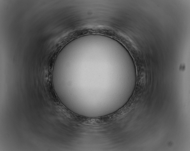 X0000101410966200807281022