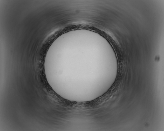 X0000101410967200807281022