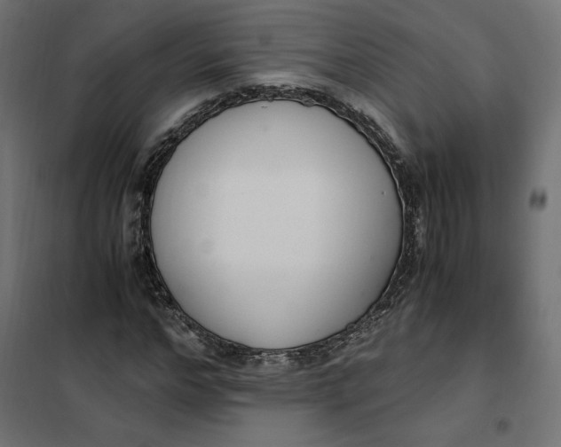 X0000101410968200807281022