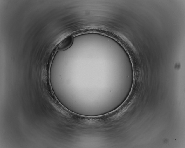 X0000101410969200807281022