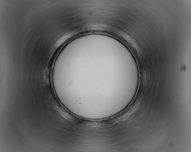 X0000101410970200807281022