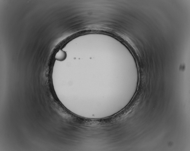 X0000101410971200807281021